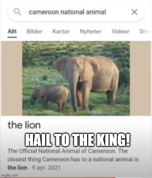 National Animal | HAIL TO THE KING! | image tagged in you had one job | made w/ Imgflip meme maker
