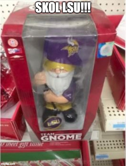 LSU Vikings | SKOL LSU!!! | image tagged in you had one job | made w/ Imgflip meme maker