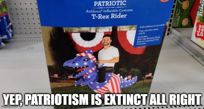 Nice Message | YEP, PATRIOTISM IS EXTINCT ALL RIGHT | image tagged in politics | made w/ Imgflip meme maker