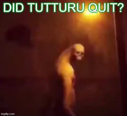 Your IP Address Is On The Internet | DID TUTTURU QUIT? | image tagged in your ip address is on the internet | made w/ Imgflip meme maker