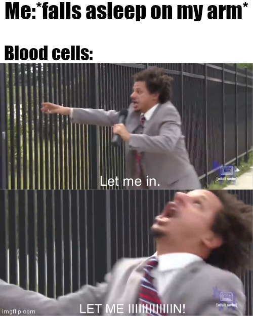 Pins and needles | Me:*falls asleep on my arm*; Blood cells: | image tagged in let me in,sleep,arm | made w/ Imgflip meme maker
