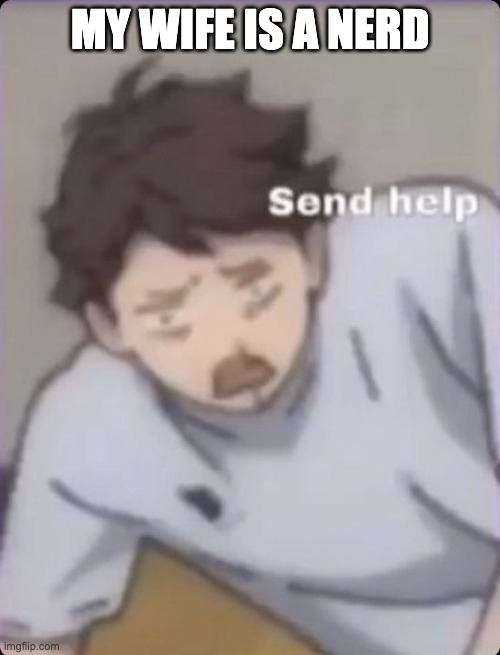 My wife is a nerd, send help | MY WIFE IS A NERD | image tagged in oikawa send help | made w/ Imgflip meme maker