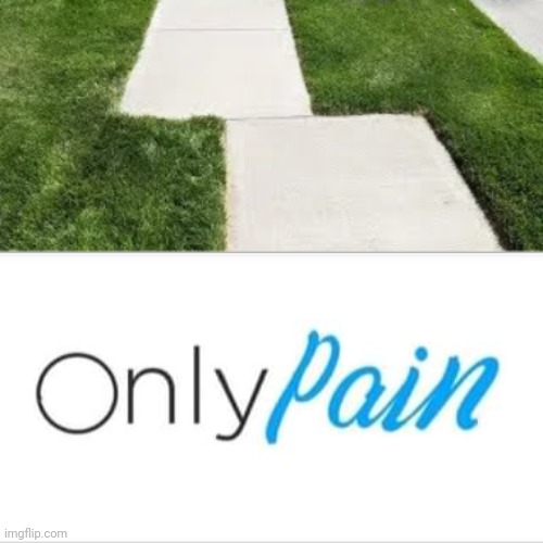 Sidewalk design fail | image tagged in onlypain,you had one job,sidewalk,memes,grass,sidewalks | made w/ Imgflip meme maker