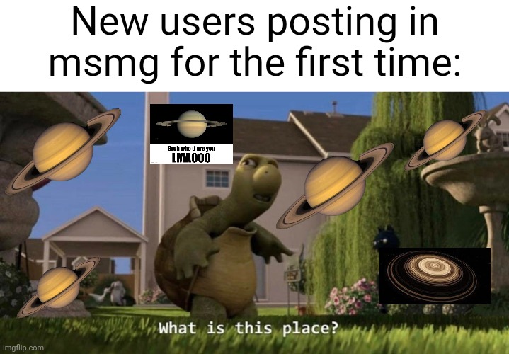 Pretty much any popular stream ngl | New users posting in msmg for the first time: | image tagged in what is this place | made w/ Imgflip meme maker