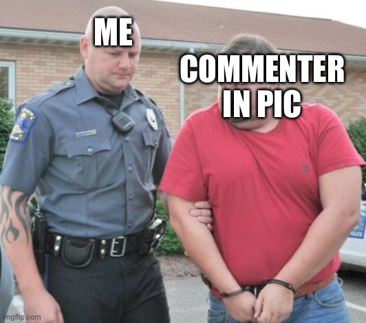 ME COMMENTER IN PIC | image tagged in man get arrested | made w/ Imgflip meme maker
