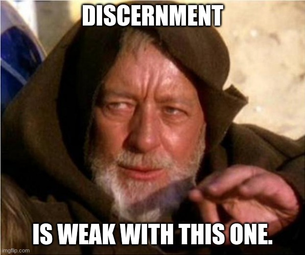 Jedi Mind Trick | DISCERNMENT IS WEAK WITH THIS ONE. | image tagged in jedi mind trick | made w/ Imgflip meme maker
