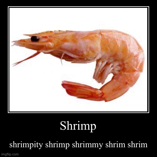 Shrimp | shrimpity shrimp shrimmy shrim shrim | image tagged in funny,demotivationals | made w/ Imgflip demotivational maker