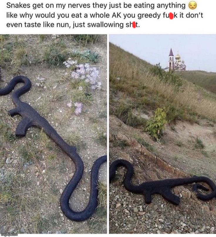 image tagged in memes,funny | made w/ Imgflip meme maker