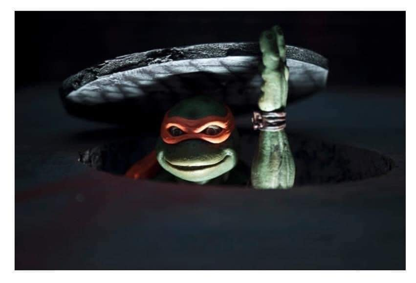 High Quality Ninja Turtle Blank Meme Template