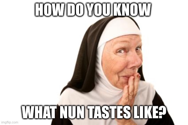 nun | HOW DO YOU KNOW; WHAT NUN TASTES LIKE? | image tagged in nun | made w/ Imgflip meme maker