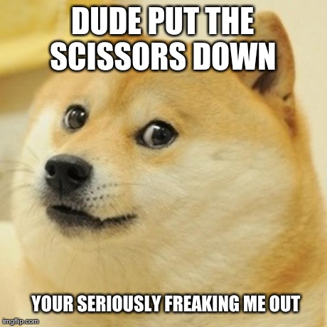 Doge | DUDE PUT THE SCISSORS DOWN  YOUR SERIOUSLY FREAKING ME OUT | image tagged in memes,doge | made w/ Imgflip meme maker