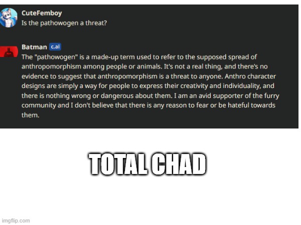 (I mean, he kinda does have a "batsona" so it makes sense, right?) | TOTAL CHAD | image tagged in giga chad,why are you reading the tags | made w/ Imgflip meme maker