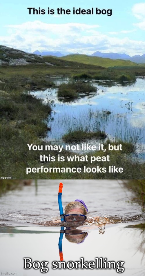 Bog snorkelling | Bog snorkelling | image tagged in bog,snorkel,peat bog | made w/ Imgflip meme maker