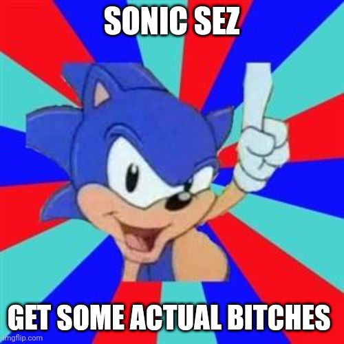 Sonic sez | SONIC SEZ; GET SOME ACTUAL BITCHES | image tagged in sonic sez | made w/ Imgflip meme maker