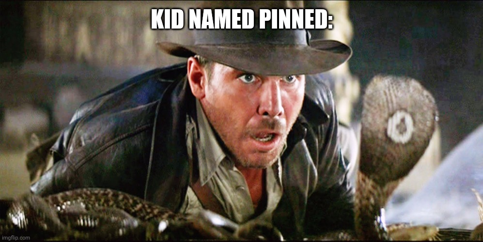 Indiana Jones Snakes | KID NAMED PINNED: | image tagged in indiana jones snakes | made w/ Imgflip meme maker