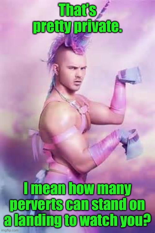 Gay Unicorn | That’s pretty private. I mean how many perverts can stand on a landing to watch you? | image tagged in gay unicorn | made w/ Imgflip meme maker