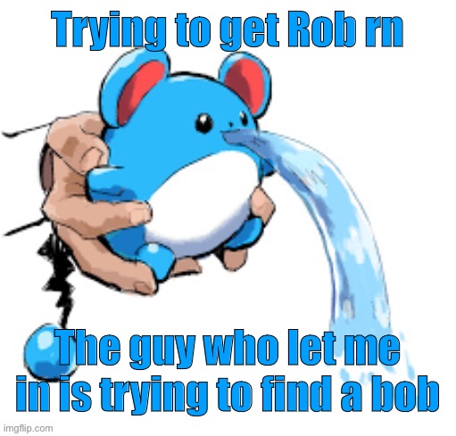 Marill 5 | Trying to get Rob rn; The guy who let me in is trying to find a bob | image tagged in marill 5 | made w/ Imgflip meme maker