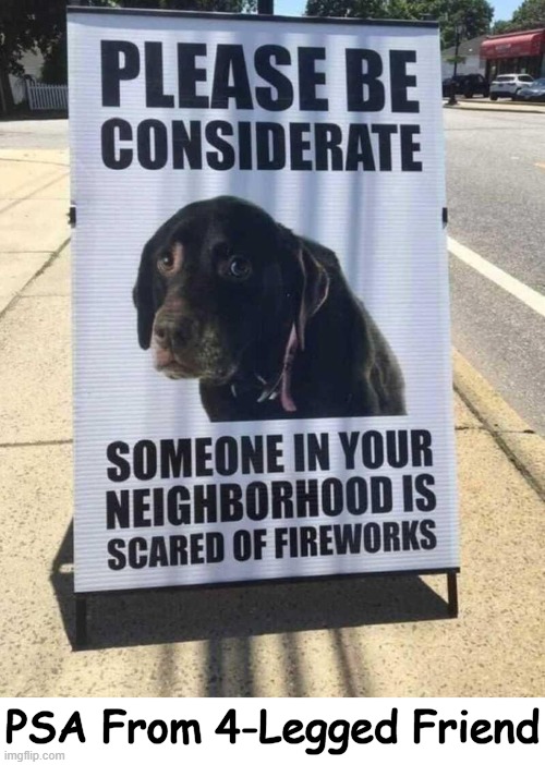Public Service Announcement | PSA From 4-Legged Friend | image tagged in fun,psa,get the word out,lol,dogs,fireworks | made w/ Imgflip meme maker