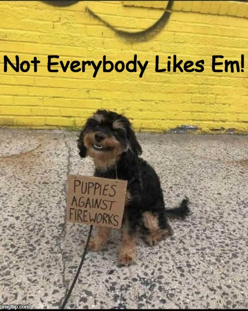 Puppies are People, too! :) | Not Everybody Likes Em! | image tagged in fun,puppies,fireworks,not fun for all,psa,be kind | made w/ Imgflip meme maker
