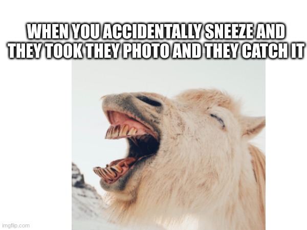hahahaha | WHEN YOU ACCIDENTALLY SNEEZE AND THEY TOOK THEY PHOTO AND THEY CATCH IT | image tagged in funny memes | made w/ Imgflip meme maker