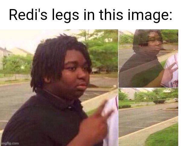 fading away | Redi's legs in this image: | image tagged in fading away | made w/ Imgflip meme maker