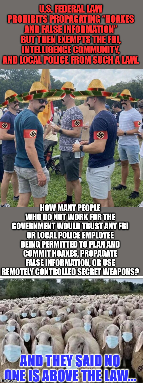 No one is above the law... LOL...   Sorry, the law says the ruling class guardians are... | U.S. FEDERAL LAW PROHIBITS PROPAGATING “HOAXES AND FALSE INFORMATION” BUT THEN EXEMPTS THE FBI, INTELLIGENCE COMMUNITY, AND LOCAL POLICE FROM SUCH A LAW. HOW MANY PEOPLE WHO DO NOT WORK FOR THE GOVERNMENT WOULD TRUST ANY FBI OR LOCAL POLICE EMPLOYEE BEING PERMITTED TO PLAN AND COMMIT HOAXES, PROPAGATE FALSE INFORMATION, OR USE REMOTELY CONTROLLED SECRET WEAPONS? AND THEY SAID NO ONE IS ABOVE THE LAW... | image tagged in sheeple,believe,media lies | made w/ Imgflip meme maker