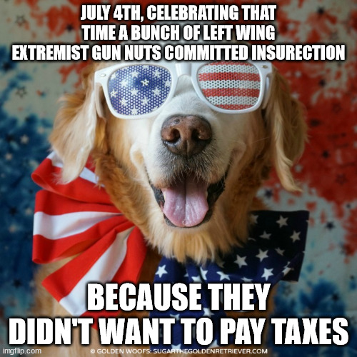 4th of July Dog | JULY 4TH, CELEBRATING THAT TIME A BUNCH OF LEFT WING EXTREMIST GUN NUTS COMMITTED INSURECTION; BECAUSE THEY DIDN'T WANT TO PAY TAXES | image tagged in 4th of july dog | made w/ Imgflip meme maker