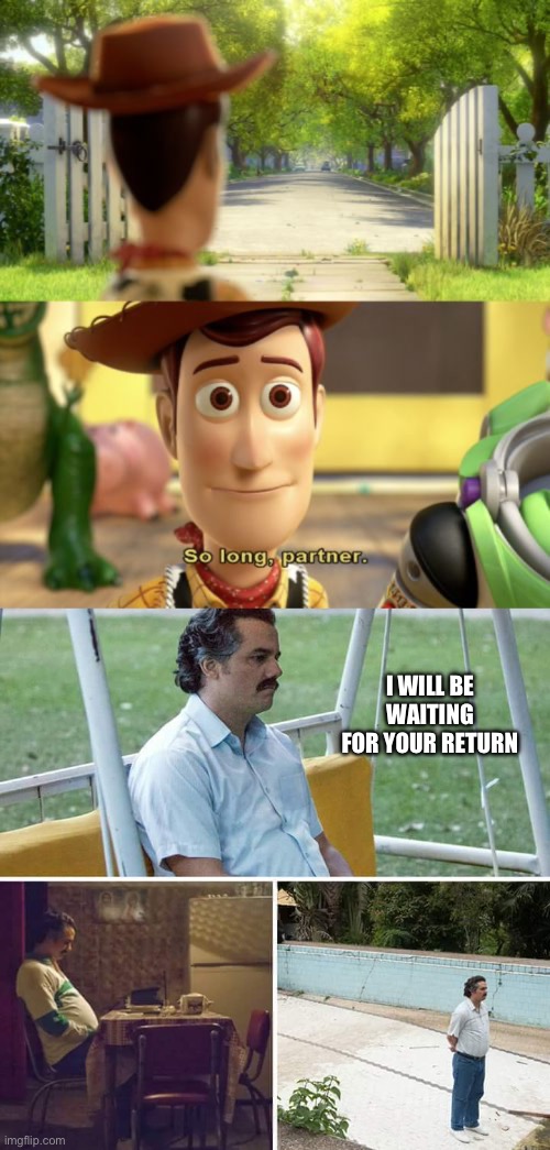I WILL BE WAITING FOR YOUR RETURN | image tagged in so long partner,memes,sad pablo escobar | made w/ Imgflip meme maker