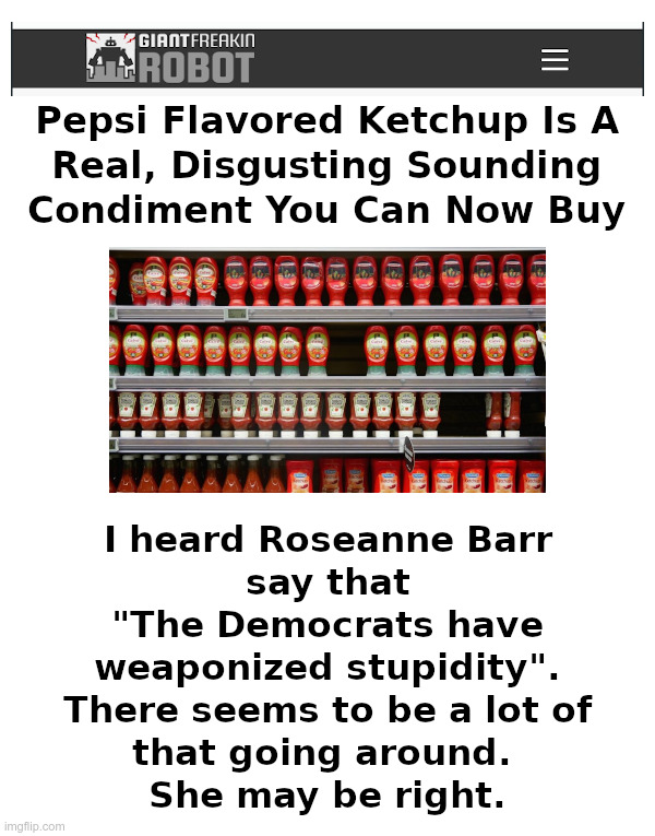 Have The Democrats Weaponized Stupidity? | image tagged in roseanne barr,democrats,joe biden,weaponize,stupidity | made w/ Imgflip meme maker