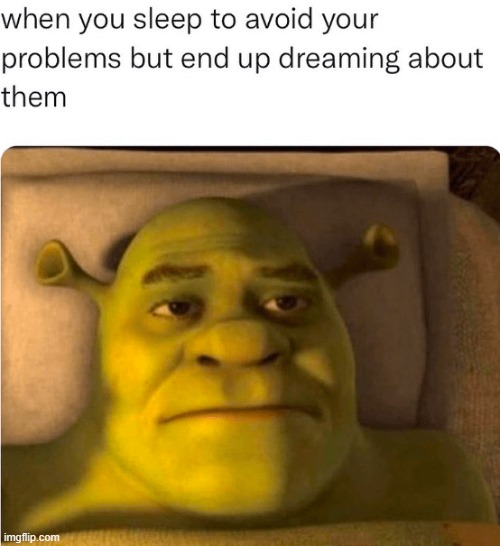 image tagged in sleep,problems,dreaming | made w/ Imgflip meme maker