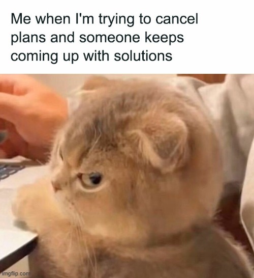 image tagged in plans,cancel,solutions | made w/ Imgflip meme maker