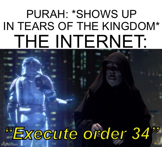 It was inevitable | PURAH: *SHOWS UP IN TEARS OF THE KINGDOM*; THE INTERNET:; “Execute order 34” | image tagged in execute order 66 | made w/ Imgflip meme maker