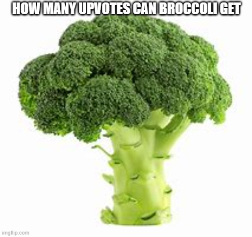 HOW MANY UPVOTES CAN BROCCOLI GET | image tagged in test | made w/ Imgflip meme maker