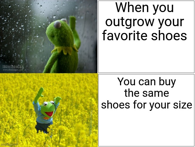 YAY!!!! | When you outgrow your favorite shoes; You can buy the same shoes for your size | image tagged in sad kermit,happy kermit | made w/ Imgflip meme maker