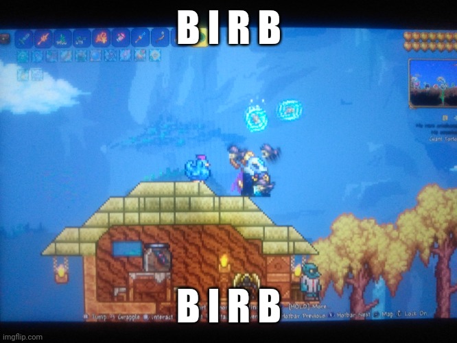 B i r b | B I R B; B I R B | image tagged in terraria,gaming,nintendo switch,screenshot | made w/ Imgflip meme maker
