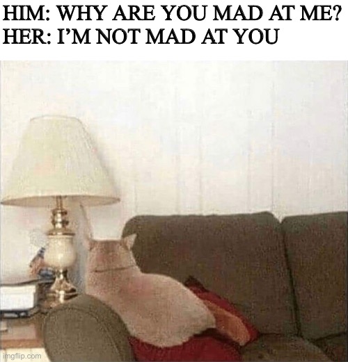 HIM: WHY ARE YOU MAD AT ME?
HER: I’M NOT MAD AT YOU | image tagged in body language | made w/ Imgflip meme maker