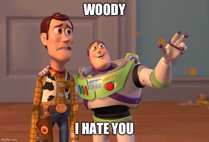 X, X Everywhere | WOODY; I HATE YOU | image tagged in memes,x x everywhere | made w/ Imgflip meme maker