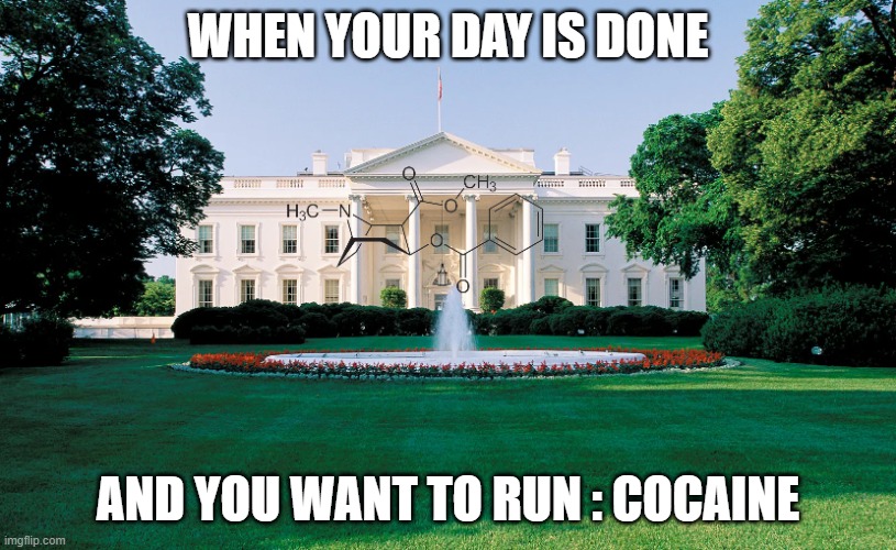 Clapton | WHEN YOUR DAY IS DONE; AND YOU WANT TO RUN : COCAINE | image tagged in crackhead,trap,crackhouse | made w/ Imgflip meme maker