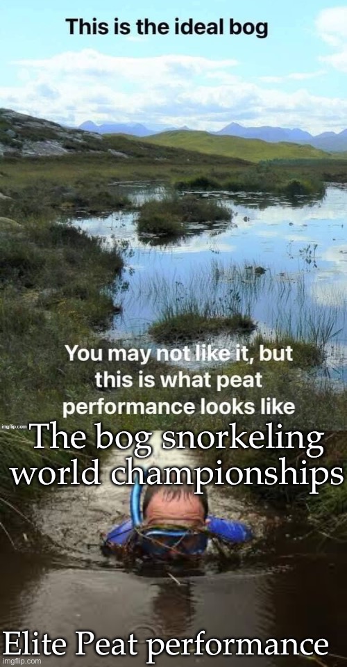 Peat performance | The bog snorkeling world championships; Elite Peat performance | image tagged in world championships,snorkel,world cup,bog | made w/ Imgflip meme maker