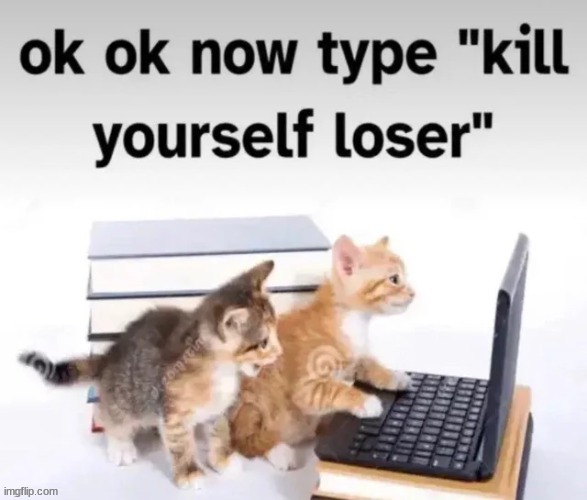 Funny | image tagged in ok ok now type kill yourself loser,funny,cats,kys | made w/ Imgflip meme maker