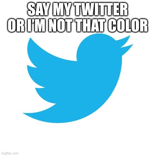 Twitter birds says | SAY MY TWITTER OR I’M NOT THAT COLOR | image tagged in twitter birds says | made w/ Imgflip meme maker