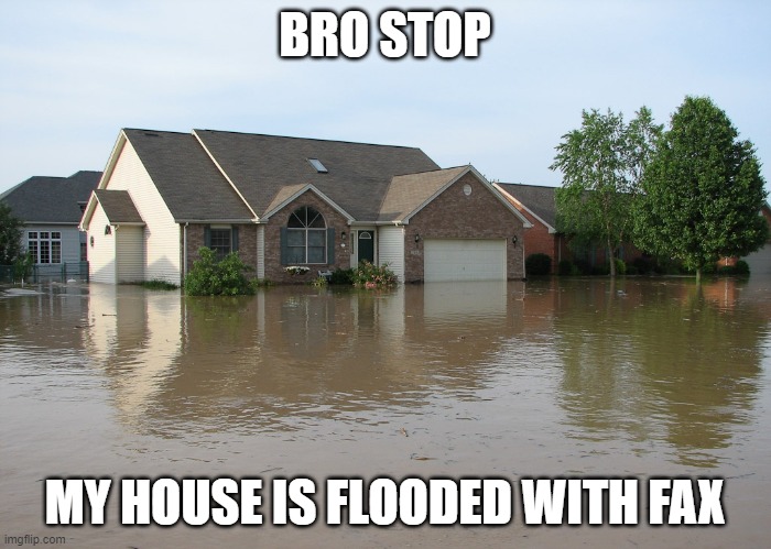 flooded house | BRO STOP MY HOUSE IS FLOODED WITH FAX | image tagged in flooded house | made w/ Imgflip meme maker