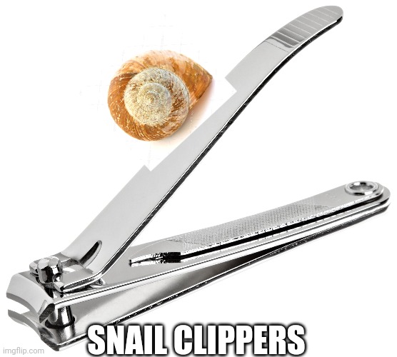 Meme #2,326 | SNAIL CLIPPERS | image tagged in memes,funny,nails,snail,clippers,puns | made w/ Imgflip meme maker