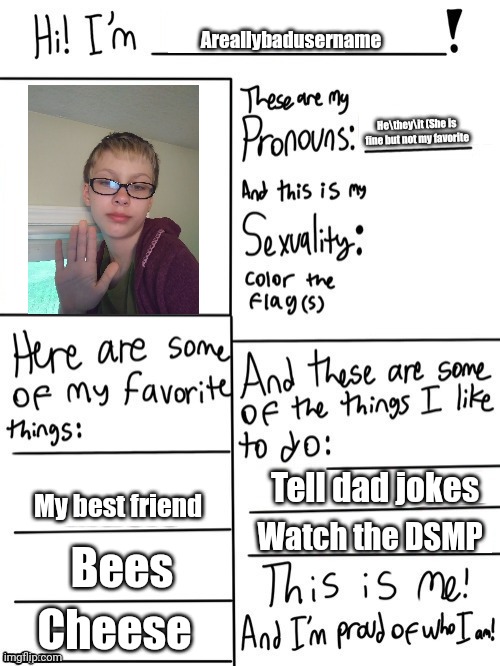This is me! | Areallybadusername; He\they\it (She is fine but not my favorite; Tell dad jokes; My best friend; Watch the DSMP; Bees; Cheese | image tagged in hi i'm | made w/ Imgflip meme maker