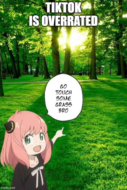 go touch some grass bro | TIKTOK IS OVERRATED | image tagged in go touch some grass bro | made w/ Imgflip meme maker