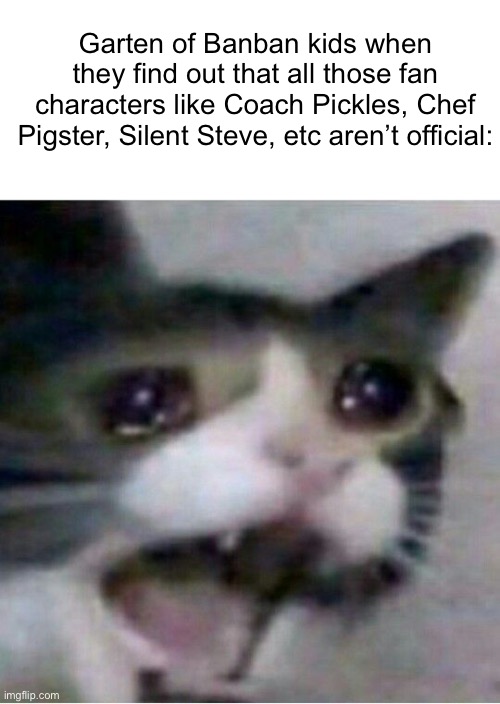 Imagine how much pain gen alpha has | Garten of Banban kids when they find out that all those fan characters like Coach Pickles, Chef Pigster, Silent Steve, etc aren’t official: | image tagged in blank white template,crying cat,garten of banban,gen alpha,memes | made w/ Imgflip meme maker