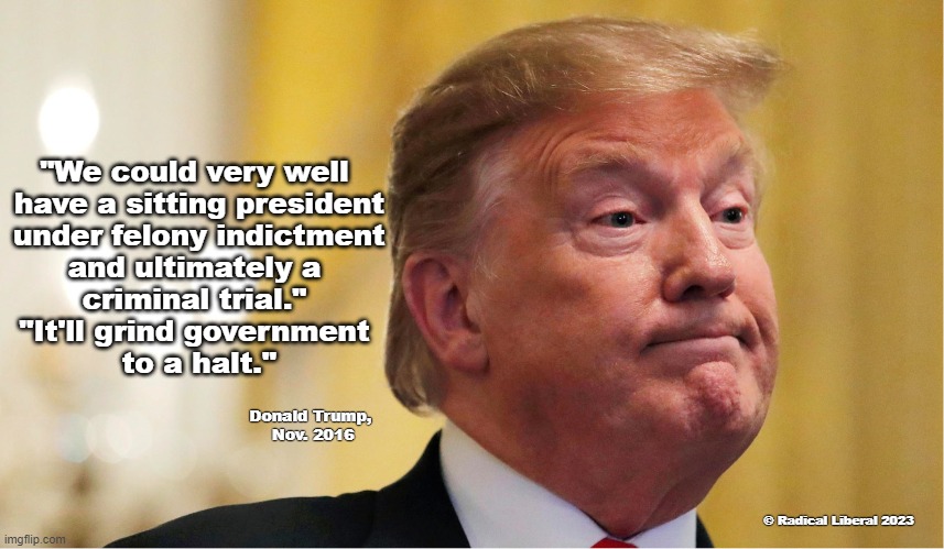 It'll grind government to a halt | "We could very well
 have a sitting president
 under felony indictment
 and ultimately a 
criminal trial."

"It'll grind government
 to a halt."; Donald Trump,
 Nov. 2016; © Radical Liberal 2023 | image tagged in nevertrump,traitor trump,donald trump is an idiot,trump for prison | made w/ Imgflip meme maker