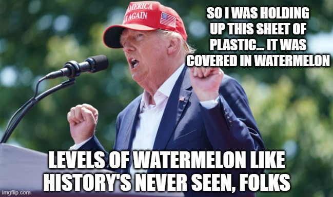 If a narcissistic dimwit attended a Gallagher show | SO I WAS HOLDING UP THIS SHEET OF PLASTIC... IT WAS COVERED IN WATERMELON; LEVELS OF WATERMELON LIKE HISTORY'S NEVER SEEN, FOLKS | image tagged in donny tiny hands | made w/ Imgflip meme maker