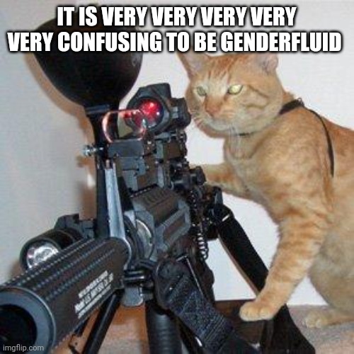 cat with gun | IT IS VERY VERY VERY VERY VERY CONFUSING TO BE GENDERFLUID | image tagged in cat with gun | made w/ Imgflip meme maker