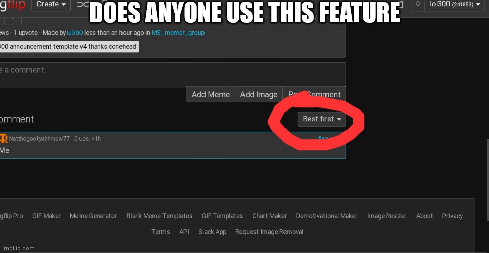 DOES ANYONE USE THIS FEATURE | made w/ Imgflip meme maker